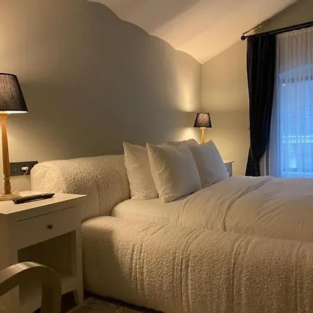 アパート Luxury Flat In Galata イスタンブール