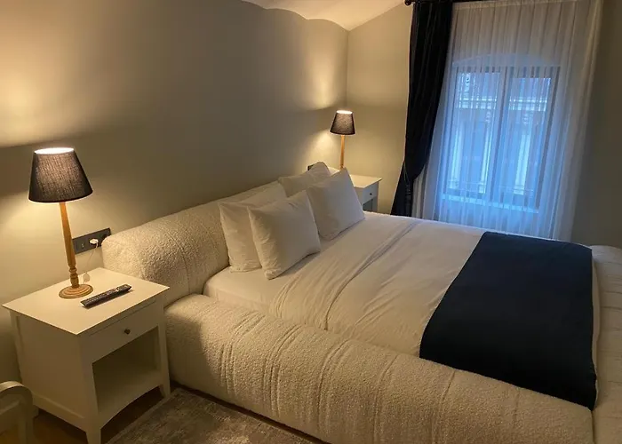 Luxury Flat In Galata * 伊斯坦布尔