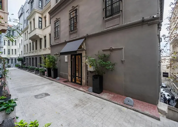 Luxury Flat In Galata 公寓 伊斯坦布尔