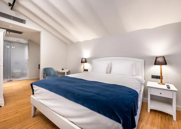 公寓 Luxury Flat In Galata